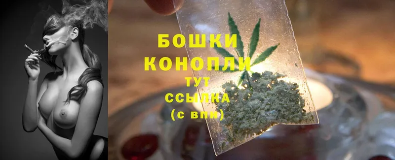 что такое   Ветлуга  Бошки марихуана OG Kush 